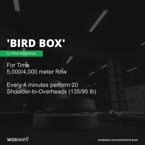 Shoulder Wod Crossfit, Rowing Metcon, Rowing Workout Crossfit, Partner Wod Crossfit, Home Crossfit Workouts, Rowing Wod, Box Workout, Wod Workouts, Rowing Workouts