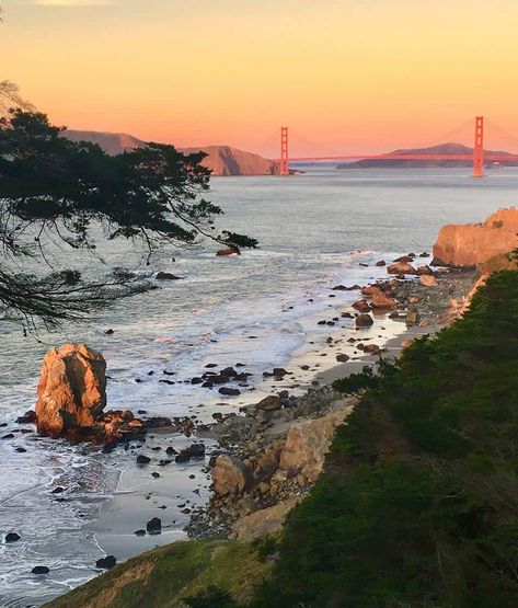 The 11 Best Hikes Near San Francisco, California | Territory Supply San Francisco Hikes, Lands End San Francisco, Muir Woods National Monument, Muir Woods, Best Campgrounds, Hiking Destinations, Nature Adventure, Best Hikes, National Monuments