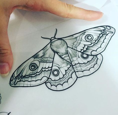 Tattoo Papillon, Moth Tattoo Design, Bug Tattoo, Insect Tattoo, Inspiration Tattoo, Tattoos Geometric, Moth Tattoo, Butterfly Tattoos, Skin Art