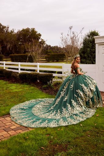 Sophia Thomas | Minerva’s Bridal - Q178 | Minerva’s Bridal Orlando Birthday Gowns, Green Quinceanera, Gown Birthday, Green Quinceanera Dresses, Green Ball Gown, Quinceanera Dresses Gold, Dresses Gold, Quinceanera Themes, Dresses Quinceanera