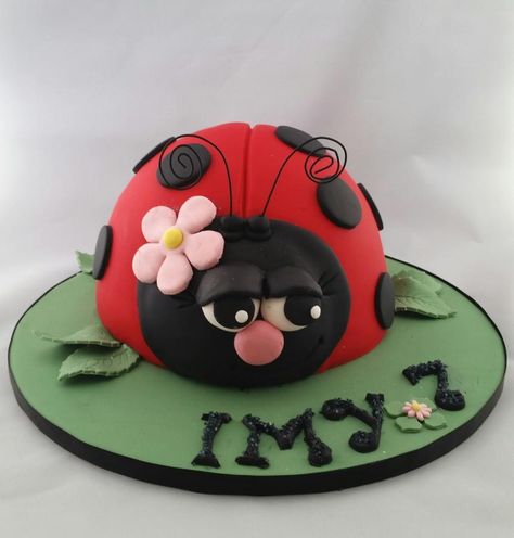 Sleepy Bug - Cake by BakedbyBeth Ladybird Cake, Ladybug Cakes, Ladybug Cupcakes, Bug Cake, Ladybug Cake, Owl Cakes, Cinderella Cake, Unique Birthday Cakes, Ladybug Birthday