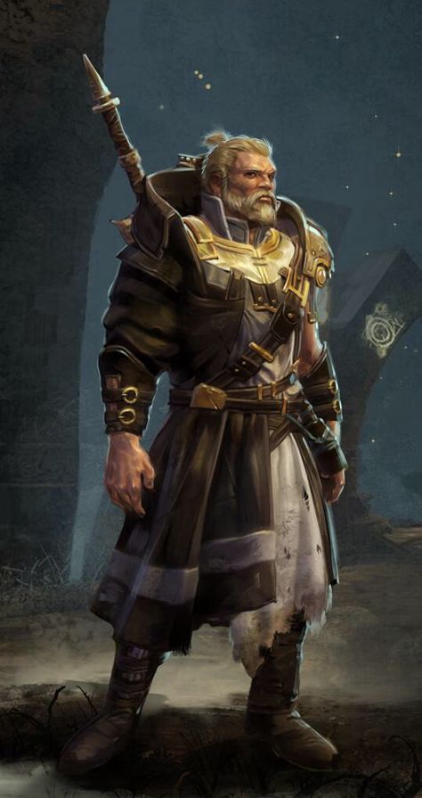 Fate weaver Agarth Old Paladin, Kingdoms Of Amalur Reckoning, Kingdoms Of Amalur, Pathfinder Character, The Fae, The Elder Scrolls, Fantasy Races, Human Male, Dungeons And Dragons Characters