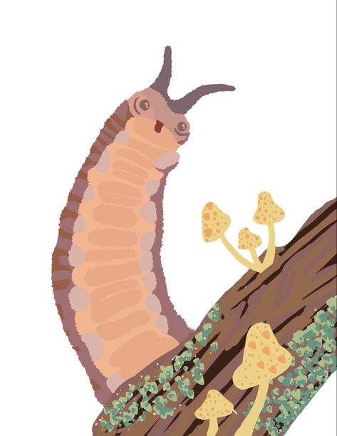 procreate drawing Worm Drawing, Velvet Worm, Procreate Drawing, Insect Art, Ink Sketch, Sketch, Velvet, Drawings, Quick Saves