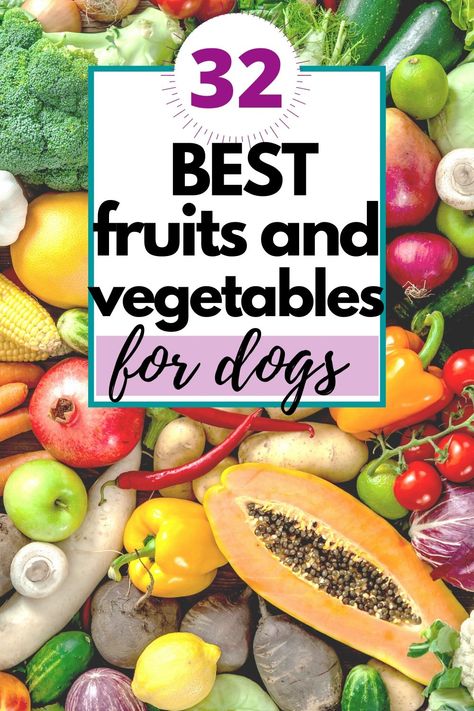 32 of the best fruits and vegetables for dogs. Fruits Good For Dogs, Fruits And Vegetables For Dogs, Dog Safe Vegetables, Fruit Dogs Can Eat, Dog Vegetables, Fruits For Dogs, Foods Dogs Can Eat, Dog And Puppies, Diy Dog Food