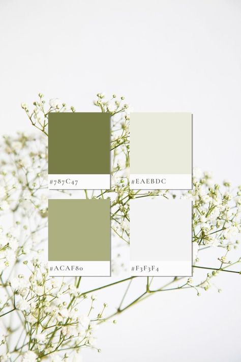 Product Colour Palette, Green And White Pallet Color, Fresh Green Colour Palette, Olive Pallet Colour Palettes, Sage Green Aesthetic Color Palette, Green And White Color Palette Wedding, Eco Friendly Colour Palette, Pale Green Colour Palette, Wedding Shades Of Green