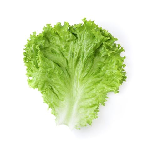 Lettuce leaves isolated on white backgro... | Premium Photo #Freepik #photo #lettuce #lettuce-leaf #food-leaf #green-vegetables Lettuce Background, Unicorn Wallpaper Cute, Unicorn Wallpaper, Lettuce Leaves, Shredded Lettuce, Green Vegetables, Leaf Green, Romaine Lettuce, Top View