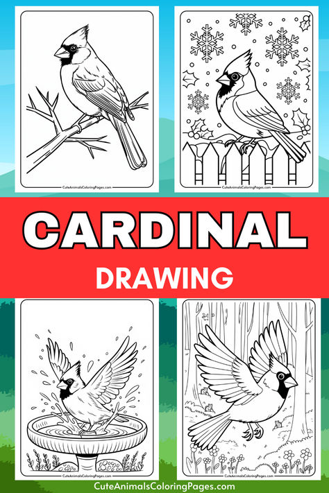 Four black and white cardinal coloring pages featuring detailed illustrations of cardinals perched on branches, surrounded by snowflakes, bathing in water, and flying through a forest. Ideal for kids and art enthusiasts looking for nature-themed activities. Cardinal Stencil Templates, Drawings Of Cardinals, How To Draw A Cardinal, Cardinal Coloring Pages, Cardinal Tattoo Design, Draw A Cardinal, Cardinal Drawing, Cute Animals Coloring Pages, Bird Sketches