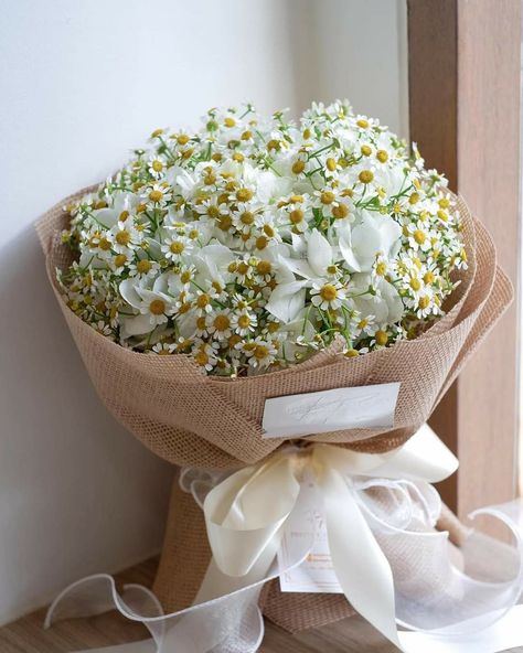 Halloween Baby Shower Theme, Daisy Bouquet, Baby Breath, Baby S Breath, Beautiful Bouquet Of Flowers, Healthy Skin Care, Beautiful Bouquet, Flower Photos, Baby Halloween