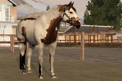 Sims 3 Horses, Horse Animation, Stable Ideas, 3 Horses, Sims 3 Mods, Star Stable, The Sims 3, Horse Ranch, Horse Stables