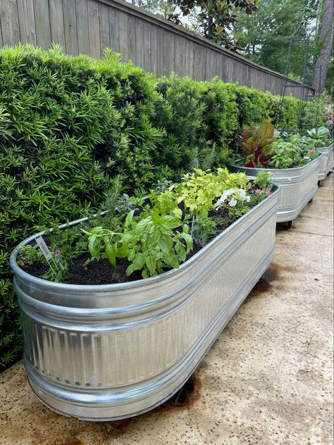 Stock tanks make great starter gardens. These are raised up with wheels. Holes in the bottom of each trough allow for drainage. @gardengirlstx Raised Garden Designs, Above Ground Garden, French Garden Design, Country Garden Design, Vegetable Garden Beds, Raised Bed Garden Design, Raised Vegetable Gardens, French Country Garden, Diy Raised Garden