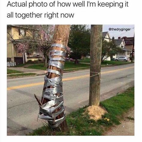 Memes Humor, Duct Tape, Bones Funny, Dankest Memes, Really Funny, Cool Pictures, Funny Jokes, Right Now, Funny Pictures