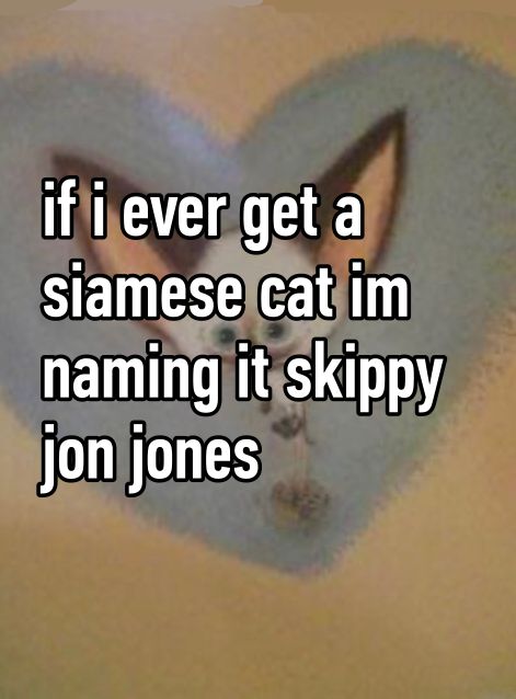 Skippy Jon Jones Pfp, Skippy Jon Jones Tattoo, Skippy John Jones, Skippy Jon Jones, Skippyjon Jones, Sonic Whisper, Britpop Whisper, I Got The Job, Jon Jones