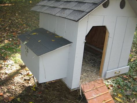 Dog House Chicken Coop Diy, Dog House To Chicken Coop, Dog House Chicken Coop, Big Dog House, Small Dog House, Nest Boxes, Tortoise Care, Urban Homestead, Chicken Coup