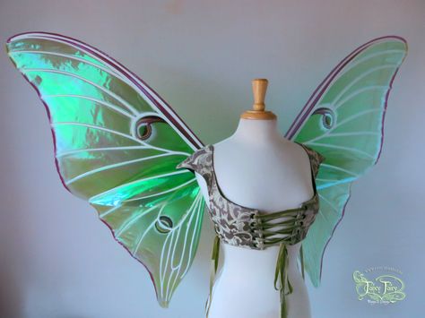 Earth Fairy Wings, Aesthetic Fairy Wings, Iridescent Fairy Wings, Absinthe Fairy, Iridescent Fairy, Earth Aesthetic, Earth Fairy, Butterfly Fairy Wings, Faery Queen