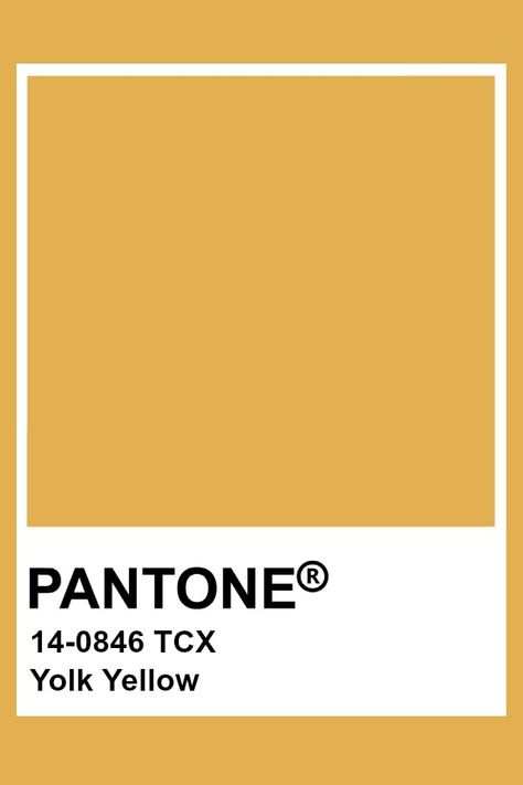 Pantone Yolk Yellow Pantone Giallo, Pastel Yellow Pantone, Pantone Shades Of Yellow, Pale Yellow Pantone, Yellow Paint Swatch, Pantone Yellow Shades, Pantone Tcx Yellow, Pantone Tcx, Yellow Pantone