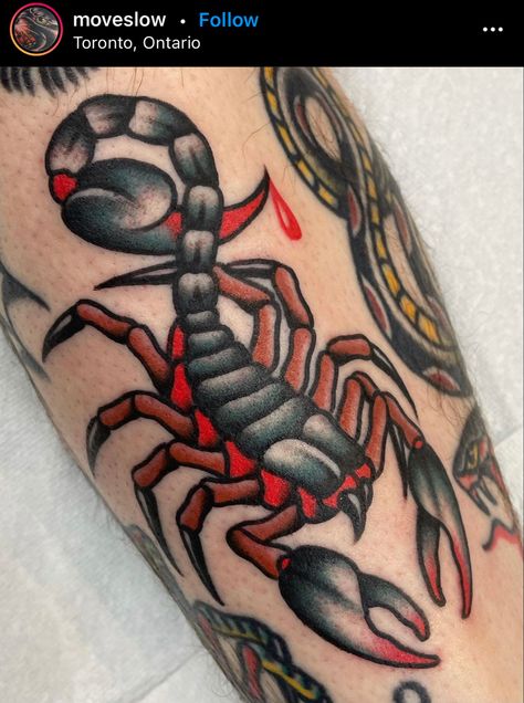 Scorpion Tattoo Design Traditional, Scorpion Tattoo American Trad, Scorpio Tattoo Color, Rose Scorpion Tattoo, Neo Trad Scorpion, Neo Traditional Scorpion Tattoo, Traditional Tattoo Scorpion, Old School Scorpion Tattoo, Scorpion Tattoo Traditional