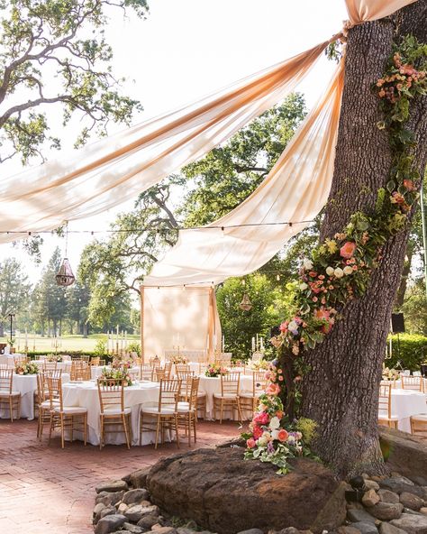 Wedding Tent Ideas, Wedding Tent Lighting, Wedding Lighting Ideas, Seating Chart Wedding Diy, Wedding Tree Decorations, Tent Ideas, Tent Decorations, Wedding Lighting, Diy Event