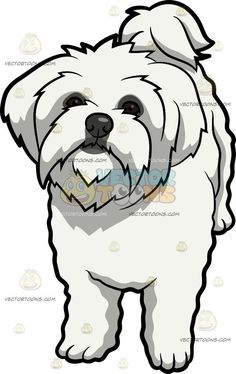 An Intrigued Maltese Dog :  A dog with long white coat and droopy ears staring ahead while looking cute  The post An Intrigued Maltese Dog appeared first on VectorToons.com. Long White Coat, Cute Dog Drawing, Inkscape Tutorials, Puppy Clipart, Maltipoo Puppy, Maltese Dog, Cartoon Clipart, Lab Puppy, 강아지 그림