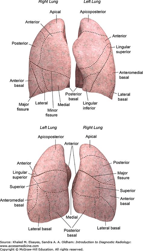 Thoracic Surgery, Dream Job, Surgery, Nursing, Quick Saves