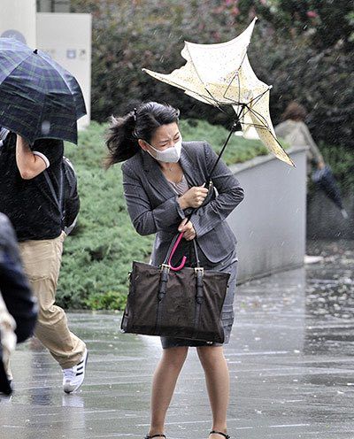 Typhoon Roke hits Japan – in pictures Windy Girl, 11 March, 웃긴 사진, On Wednesday, Plein Air, Umbrella, Tokyo, Japan