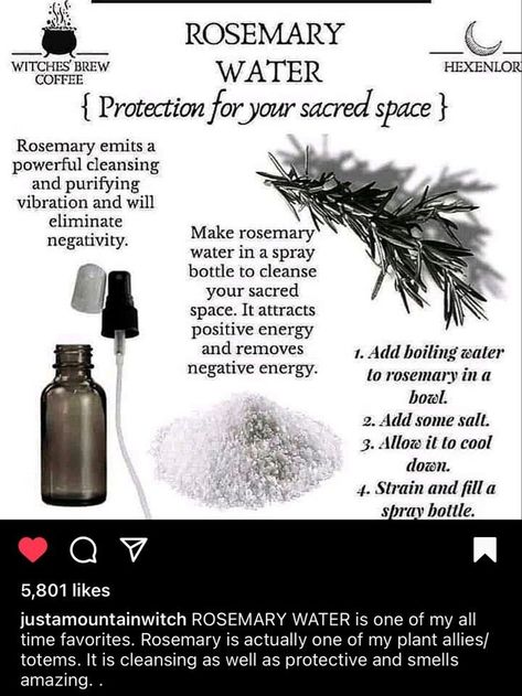 Rosemary Water, Green Witchcraft, Witch Tarot, Wiccan Magic, Witch Spirituality, Magic Spell Book, Magic Herbs, Eclectic Witch, Magical Herbs