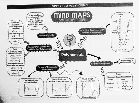 Polynomials Notes Class 10, Mind Maping, Division Algorithm, Polynomial Functions, Study Flashcards, Concept Map, Real Numbers, Lettering Art, Hand Lettering Art