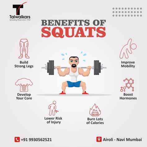 Squats are a great way to tone your legs and improve your overall fitness. You can check it out!


Contact us today - 9930562521 Gym Moodboard, Gym 101, Mind Gym, Benefits Of Squats, Gym Banner, Gym Lifestyle, Gym Art, Mix Concrete, Social Templates