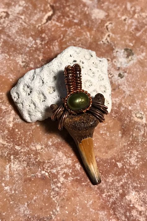 Wire Wrapped Shark Tooth Pendant, Wire Wrapped Shark Tooth, Shark Teeth Jewelry, Wrapped Crystals, Sharks Teeth, Hemp Yarn, Diy Teething, Fossil Hunting, Antler Jewelry