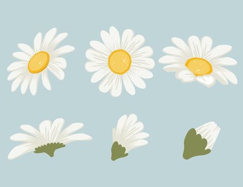 Daisy Flower Illustration Art, Daisy Vector Illustration, Flat Floral Illustration, Flat Flower Illustration, Daisy Illustration Simple, Cute Daisy Drawing, Daisies Drawing, Cute Flower Illustration, Daisy Flower Illustration