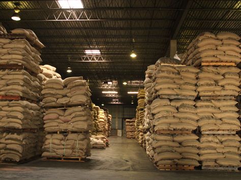 Coffee Warehouse, Coffee Factory, Easy Routine, Factory Interior, Coffee Roastery, Scary Facts, Warehouse Design, Coffee World, Coffee Farm