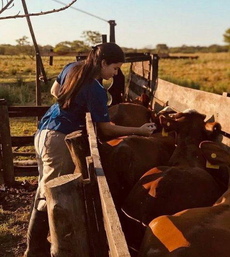 Livestock Veterinarian Aesthetic, Farm Vet, Animal Science Major, Vet School Motivation, Foto Cowgirl, Large Animal Vet, Med Vet, Vet Medicine, Vet School