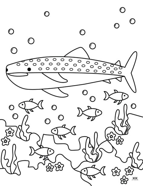 Whale Shark Outline Drawing, Whale Shark Outline, Shark Coloring Sheet, Whales Coloring Pages, Baby Shark Coloring Pages, Whale Shark Coloring Page, Theme Drawing, Whale Coloring, Whale Coloring Pages