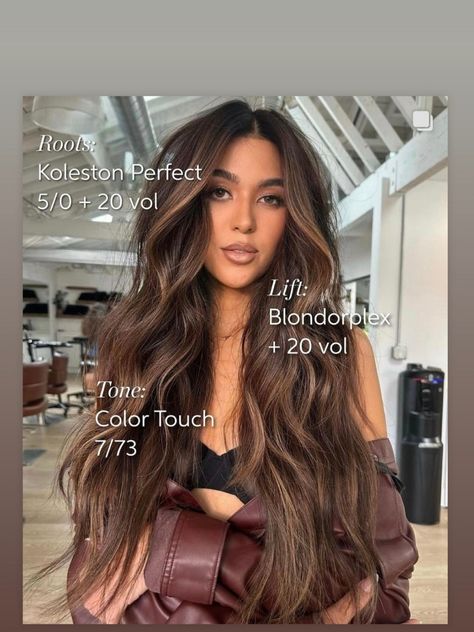 Caramel Brown Hair Formula, Ashy Brown Formula, Caramel Formula, Brown Hair Transformation, Rich Brunette Hair, Fishbone Braid, Caramel Brown Hair, Hair Formula, Color Formulas