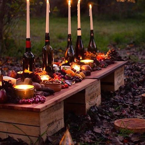 A truly magical grazing table by @grazegourmetplatterco set in the beautiful Kuitpo Forest @visitadelaidehills 🔥 || #seeaustralia #foodexperience #cheeseandwine #tastingaustralia #brandsouthaustralia #ichoosesa #fortheloveofcheese #plattergoals Grazing Table, Grazing Tables, Wedding Table Decorations, Food Experiences, Autumn Cozy, Shower Set, Outdoor Dining, Wedding Table, Rich Color