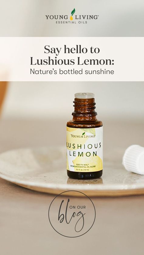 Young Living Diffuser, Essential Oil Safety, Young Living Essential Oils Recipes, Lemon Essential Oil, Eucalyptus Globulus, Essential Oils Cleaning, Diy Perfume, Lemon Myrtle, Roll On Bottles