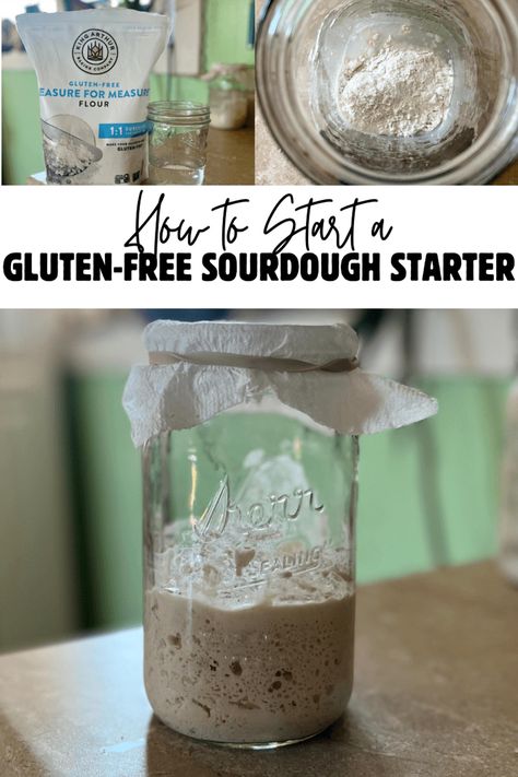 Learn the process of creating a gluten-free sourdough starter with guidance from The Rural Homesteader. Gluten Free Sourdough Starter Recipe, Gluten Free Sourdough Discard Recipes, Gluten Free Sourdough Discard, Gluten Free Starter, Dough Starter Recipe, Sourdough Starter From Scratch, Sourdough Starters, Gluten Free Sourdough Starter, Gluten Free Sourdough Bread