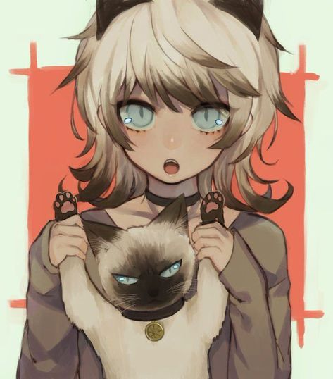 Grumpy Cat Images, Holding A Cat, Anime Pastel, Cat Pfp, Gato Anime, Anime Animals, Anime Cat, Noragami, 만화 캐릭터