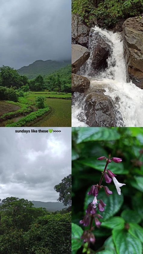 waterfalls of maharashtra #maharshtrawaterfalls #monsoon #flowerbloom #greenery Rainy Layout Ideas, Nature Photography Waterfall, Waterfall Photography Ideas, Waterfall Story Ideas, Poses In Waterfall, Waterfall Pics Ideas, Waterfall Story Instagram, Caption For Greenery Pictures, Caption For Waterfall Pic