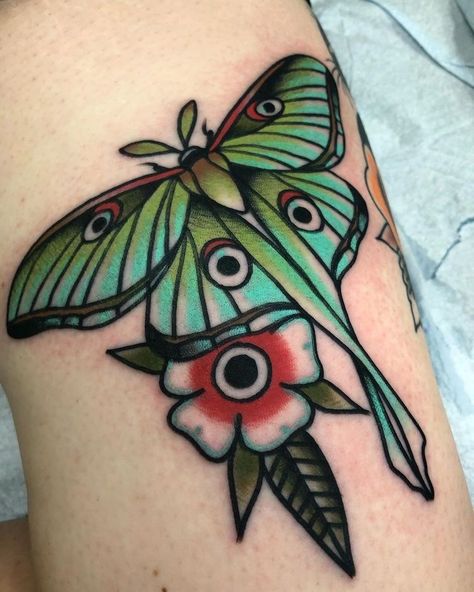 Moth Tattoo Meaning, Lunar Moth Tattoo, Traditional Moth Tattoo, Luna Moth Tattoo, Moth Tattoo Design, Traditional Tattoo Inspiration, Traditional Style Tattoo, Bug Tattoo, Insect Tattoo