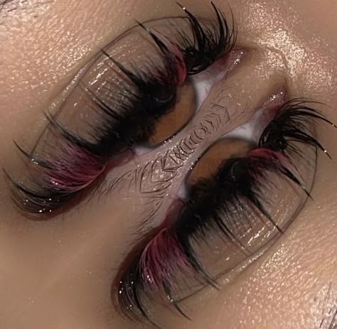 Tattoo After Care, Natural Fake Eyelashes, Eye Makeup Images, Lashes Fake Eyelashes, Shop Tattoo, Eyelash Technician, Lash Extensions Styles, Perfect Eyelashes, Pretty Lashes