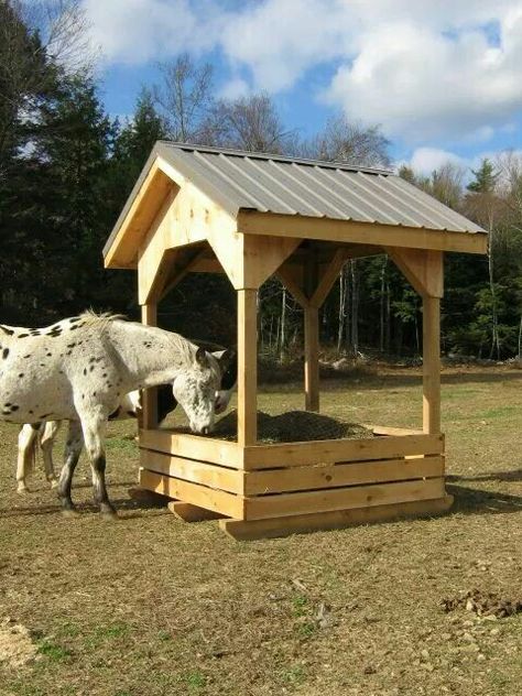 Horse covered feeder Round Bale Hay Feeder, Hay Hut, Round Bale Feeder, Hay Feeder For Horses, Florida Farm, Horse Feeder, Horse Shed, Horse Farm Ideas, Horse Hay