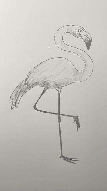 Draw A Flamingo, Flamingo Drawing, Drawing Lesson, Doodle Fonts, Easy Drawing, Drawing Lessons, Art Tutorials, Easy Drawings, Flamingo