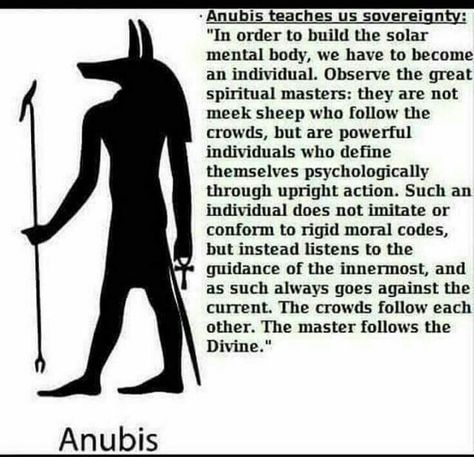 Lord Anubis, Anubis Facts, Egyptian Spirituality, Jacob Wolf, Egypt Symbols, Egyptian Drawings, Goddess Magick, Kemetic Spirituality, Egyptian Deity