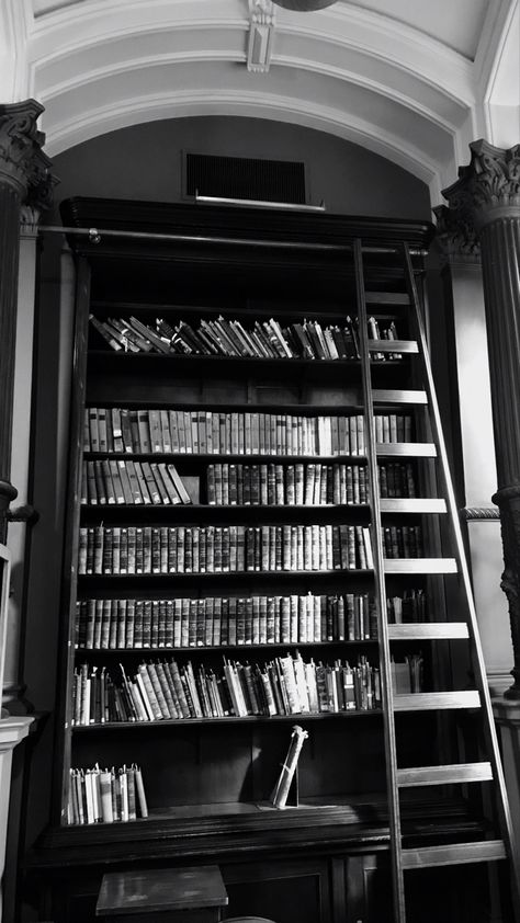 Bookshelf Black And White, Library Black And White, Black And White Library, Ivy League Aesthetic, White Library, Law School Life, Black And White Books, Brain Images, Cake Girl