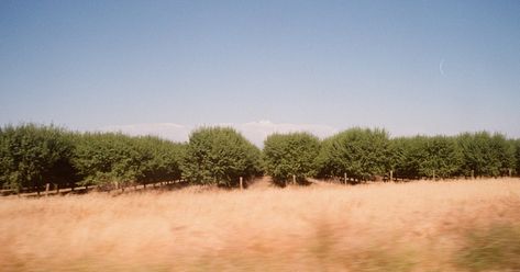 253. I-5 Highway Panoramas The agricultural lands covering California’s Central Valley stretch for hundreds of miles. Yet over the years, I’ve gradually become acquainted with the various landmarks spread throughout the region. On a recent drive back from LA, I had the chance to play passenger princess which allowed me to snap some shots including these two ‘panorama’ shots on Kodak Proimage. #diptych #panorama #frameswithgeoff Central Valley California, Passenger Princess, Agricultural Land, Central Valley, Over The Years, To Play, Passenger, Drive, California