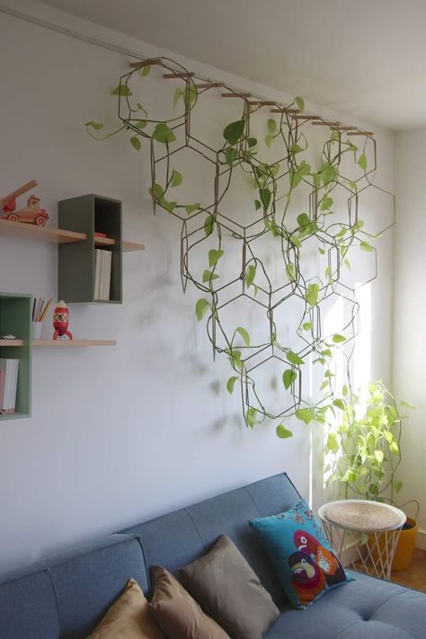 Plants On The Wall, Wall Grille, Wall Trellis, Plant Hanging, نباتات منزلية, Hanging Plants Indoor, Plant Decor Indoor, Plants Indoor, House Plants Decor