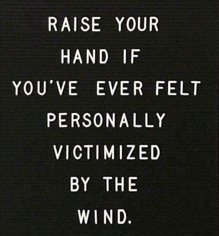 Windy Quotes, Funny Thoughts, Raise Your Hand, Quotes Funny, Letter Board, Funny Quotes, Wonder, Funny, Quotes