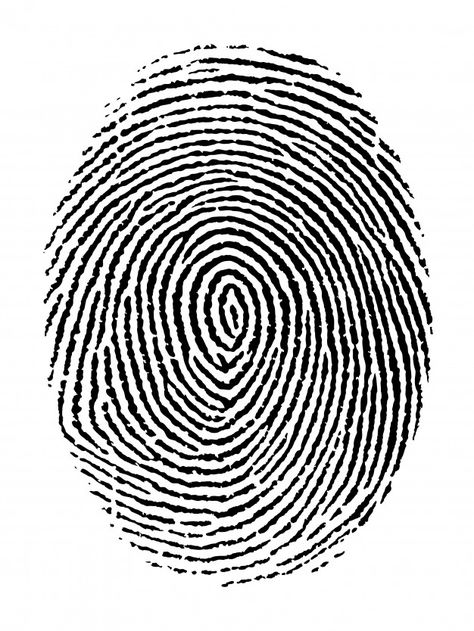 Fingerprint, Premium Vector, Black And White, White, Black