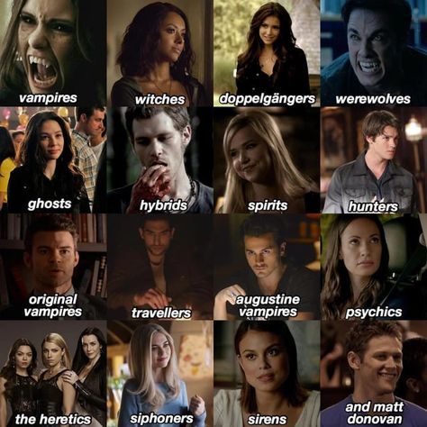 Hello Brother Tvd, Things Only Tvd Fans Will Understand, The Originals Memes Funny, Tvd Memes Funny, Vampire Diaries Memes, The Vampire Diaries, The Vampire, You Choose, Psychic