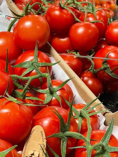 red aesthetic Tomatoes Aesthetic, Tomato Aesthetic, Tomato Farming, Spring Red, Fruits Images, Red Tomato, Red Aesthetic, Spring Break, Rosemary